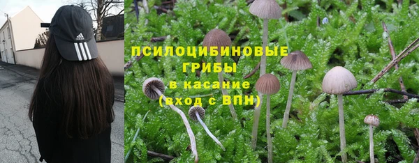 кокаин колумбия Алексин