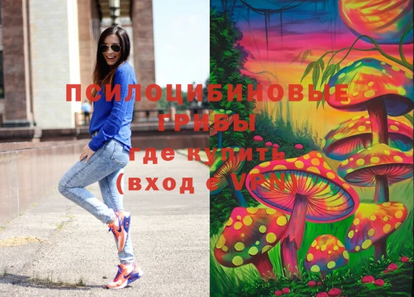 МДПВ Абдулино