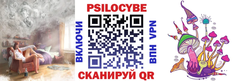 Псилоцибиновые грибы Psilocybe  Курлово 